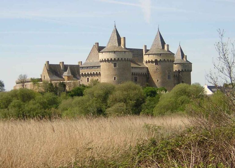 Diagnostic ASCIA Le château de Suscinio